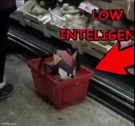 low poly shadow low intelligence | image tagged in low poly shadow low intelligence | made w/ Imgflip meme maker