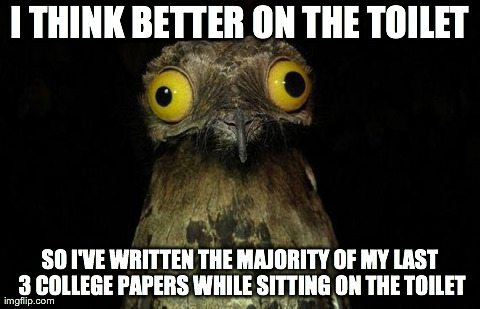 Weird Stuff I Do Potoo Meme | I THINK BETTER ON THE TOILET SO I'VE WRITTEN THE MAJORITY OF MY LAST 3 COLLEGE PAPERS WHILE SITTING ON THE TOILET | image tagged in memes,weird stuff i do potoo,AdviceAnimals | made w/ Imgflip meme maker