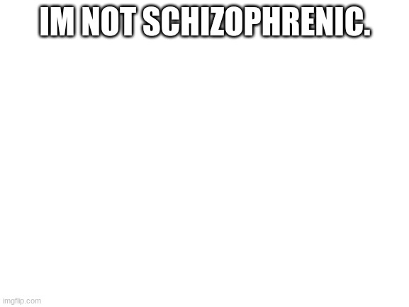 Blank White Template | IM NOT SCHIZOPHRENIC. | image tagged in im,not,schizophrenic | made w/ Imgflip meme maker