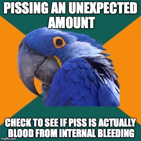 Paranoid Parrot | PISSING AN UNEXPECTED AMOUNT CHECK TO SEE IF PISS IS ACTUALLY BLOOD FROM INTERNAL BLEEDING | image tagged in memes,paranoid parrot | made w/ Imgflip meme maker