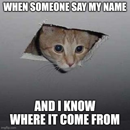 Ceiling Cat | WHEN SOMEONE SAY MY NAME; AND I KNOW WHERE IT COME FROM | image tagged in memes,ceiling cat | made w/ Imgflip meme maker