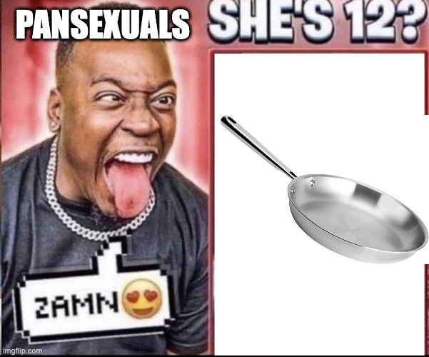 5 upvotes and i post this on the alphabet stream | PANSEXUALS | image tagged in zamn | made w/ Imgflip meme maker