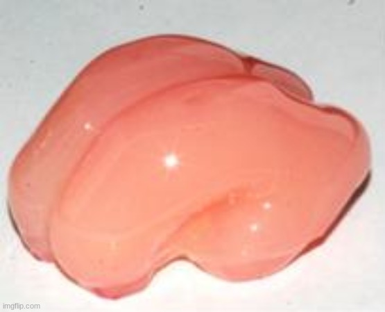 Smooth Brain | image tagged in smooth brain | made w/ Imgflip meme maker