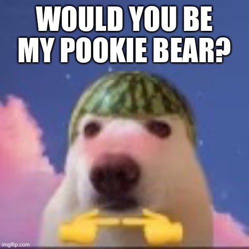 My pookie bear? | WOULD YOU BE MY POOKIE BEAR? | image tagged in memes,dog,funny memes,cute dog | made w/ Imgflip meme maker