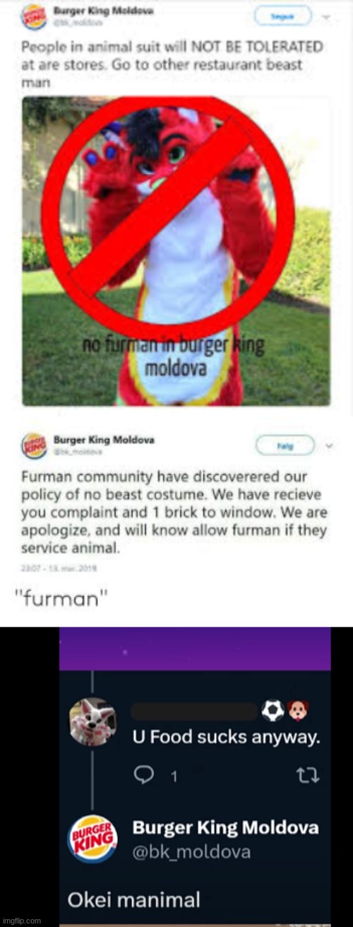 burgerking moldova furry | image tagged in burgerking moldova furry | made w/ Imgflip meme maker