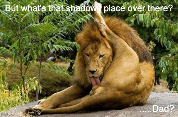 lion licking balls | But what's that shadowy place over there? .....Dad? | image tagged in lion licking balls | made w/ Imgflip meme maker