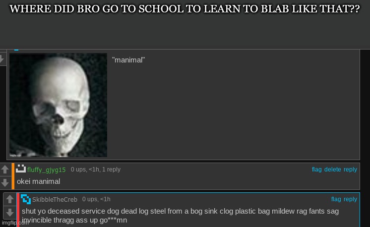 WHERE DID BRO GO TO SCHOOL TO LEARN TO BLAB LIKE THAT?? | made w/ Imgflip meme maker