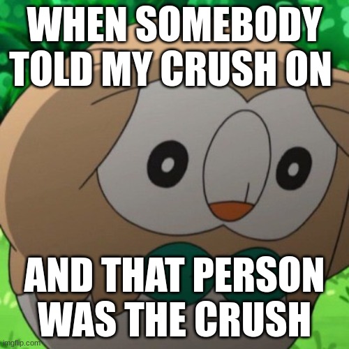 relatetable school | WHEN SOMEBODY TOLD MY CRUSH ON; AND THAT PERSON WAS THE CRUSH | image tagged in rowlet meme template | made w/ Imgflip meme maker