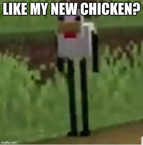 chicken | LIKE MY NEW CHICKEN? | image tagged in cursed minecraft chicken | made w/ Imgflip meme maker