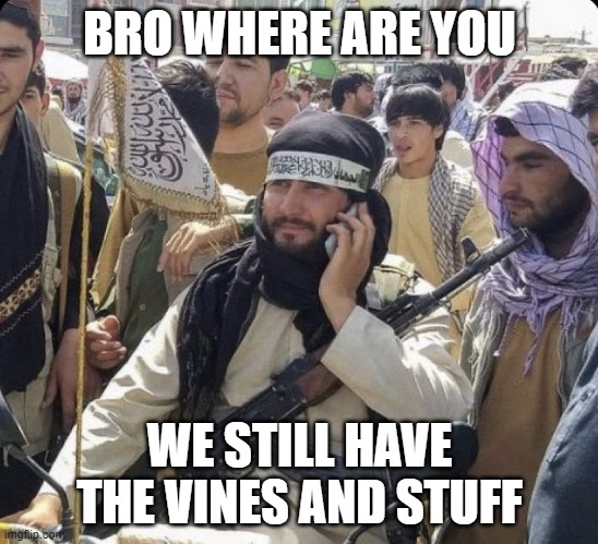 Calling the Taliban | BRO WHERE ARE YOU; WE STILL HAVE THE VINES AND STUFF | image tagged in calling the taliban | made w/ Imgflip meme maker