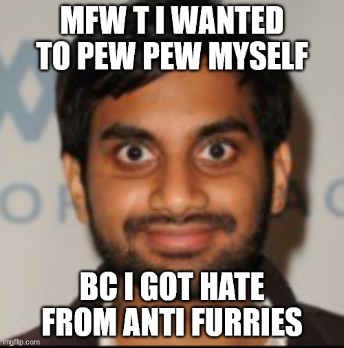 not anymore btw | MFW T I WANTED TO PEW PEW MYSELF; BC I GOT HATE FROM ANTI FURRIES | image tagged in the blank stare | made w/ Imgflip meme maker