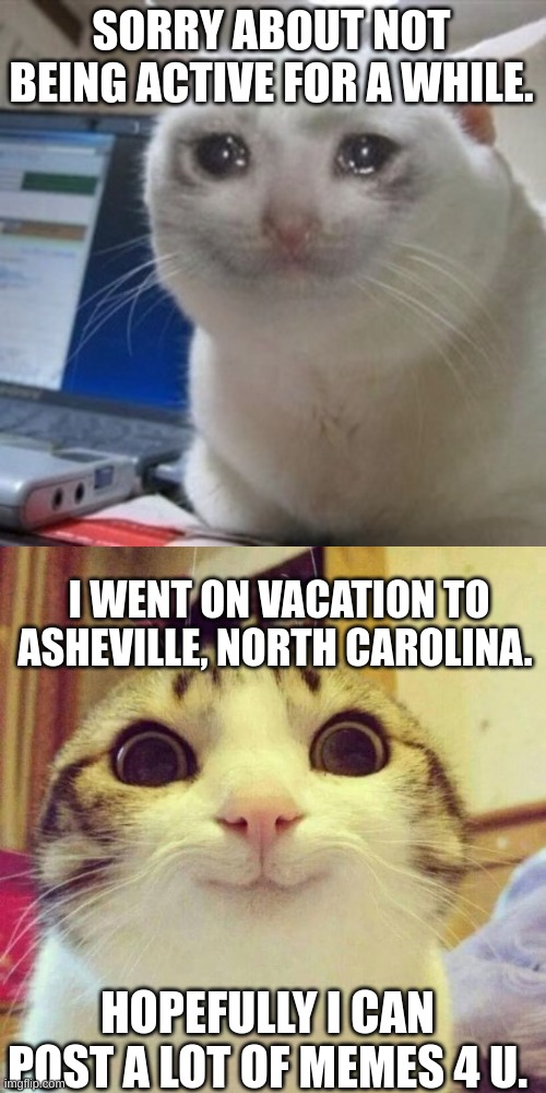 hehe i'm back :D | SORRY ABOUT NOT BEING ACTIVE FOR A WHILE. I WENT ON VACATION TO ASHEVILLE, NORTH CAROLINA. HOPEFULLY I CAN POST A LOT OF MEMES 4 U. | image tagged in crying cat,memes,smiling cat,vacation | made w/ Imgflip meme maker