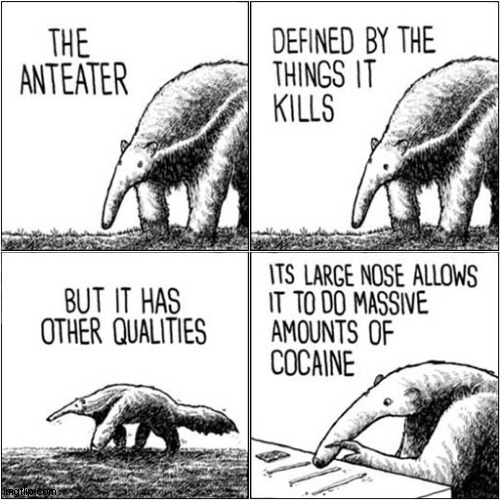 The Life Of An Anteater ! | image tagged in anteater,ants,cocaine,dark humour | made w/ Imgflip meme maker