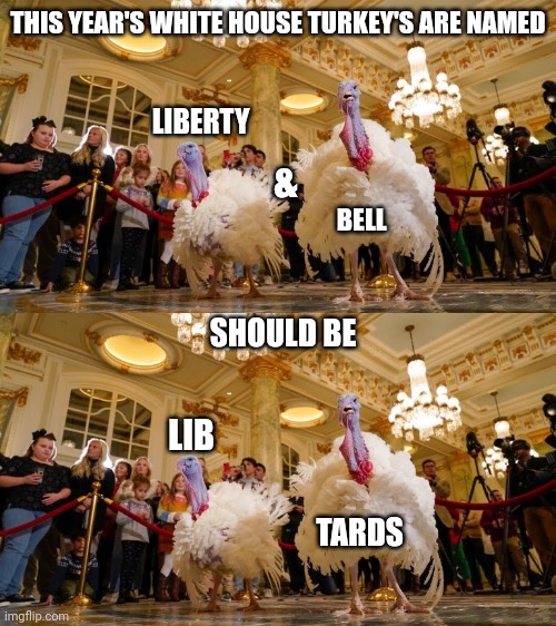 THIS YEAR'S WHITE HOUSE TURKEY'S ARE NAMED; LIBERTY; &; BELL; SHOULD BE; LIB; TARDS | made w/ Imgflip meme maker