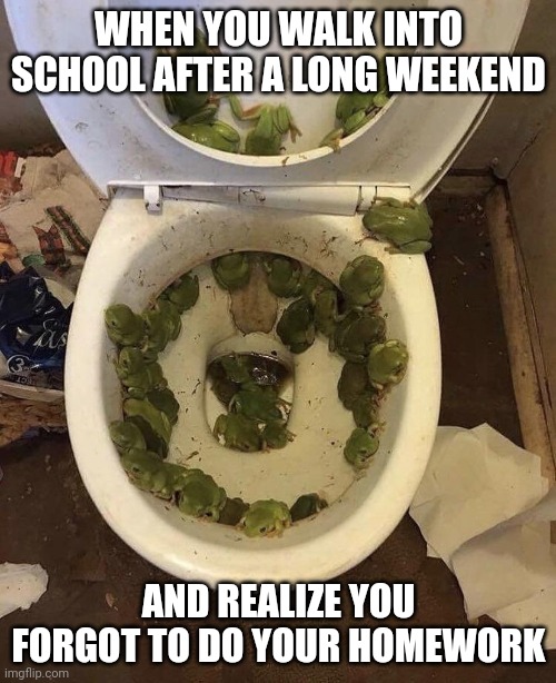 School | WHEN YOU WALK INTO SCHOOL AFTER A LONG WEEKEND; AND REALIZE YOU FORGOT TO DO YOUR HOMEWORK | image tagged in frogs in da toilet | made w/ Imgflip meme maker