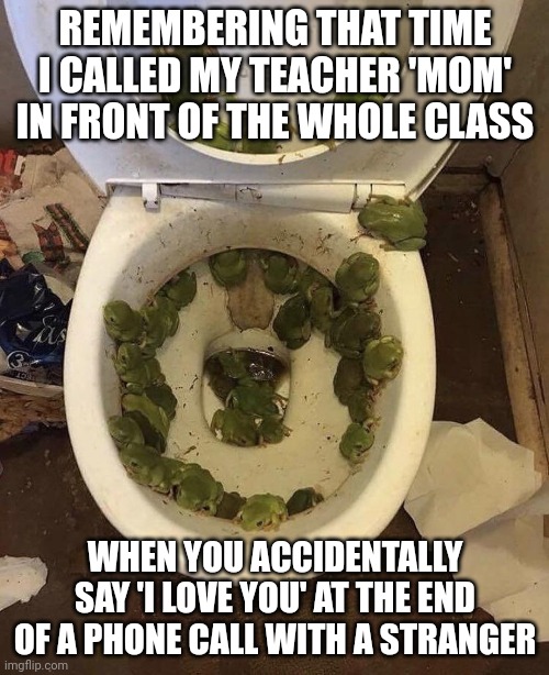 I never did the phone call thing | REMEMBERING THAT TIME I CALLED MY TEACHER 'MOM' IN FRONT OF THE WHOLE CLASS; WHEN YOU ACCIDENTALLY SAY 'I LOVE YOU' AT THE END OF A PHONE CALL WITH A STRANGER | image tagged in frogs in da toilet | made w/ Imgflip meme maker