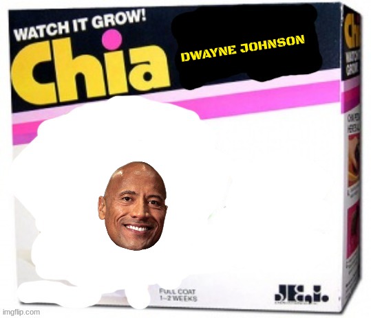 rejected chia pets volume 8 | DWAYNE JOHNSON | image tagged in chia pet blank,dwayne johnson,fake | made w/ Imgflip meme maker