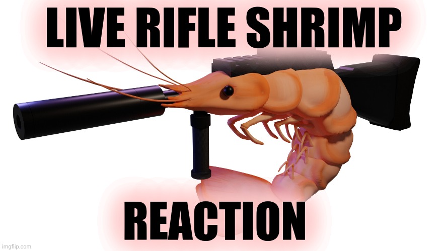 This is getting out of hand! | LIVE RIFLE SHRIMP REACTION | image tagged in now there,are two,of them | made w/ Imgflip meme maker