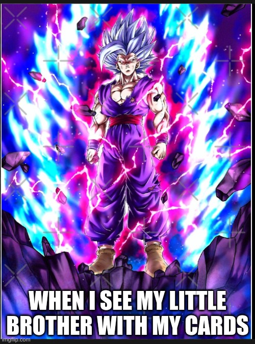 WHEN I SEE MY LITTLE BROTHER WITH MY CARDS | image tagged in memes | made w/ Imgflip meme maker