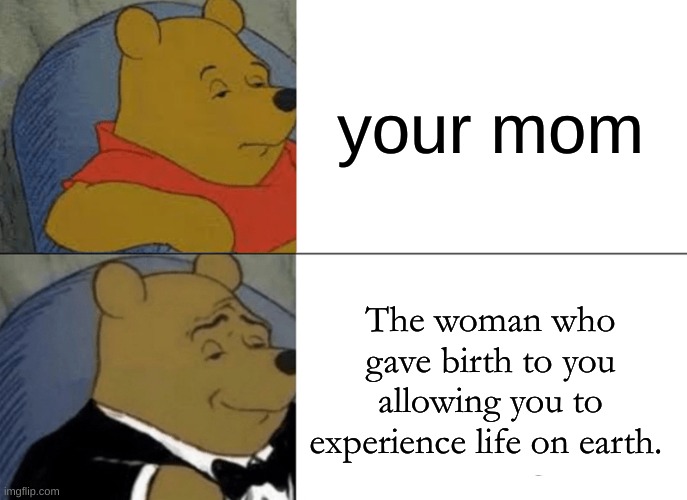 I mean...eh? | your mom; The woman who gave birth to you allowing you to experience life on earth. | image tagged in memes,tuxedo winnie the pooh | made w/ Imgflip meme maker