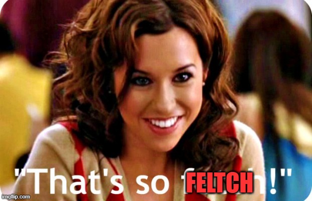 That is so fetch | FELTCH | image tagged in that is so fetch | made w/ Imgflip meme maker