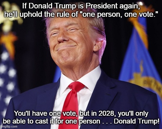 Donald Trump One Person One Vote | If Donald Trump is President again, he'll uphold the rule of "one person, one vote."; You'll have one vote, but in 2028, you'll only be able to cast it for one person . . . Donald Trump! | image tagged in dictator,i hate donald trump,trump sucks,donald trump | made w/ Imgflip meme maker