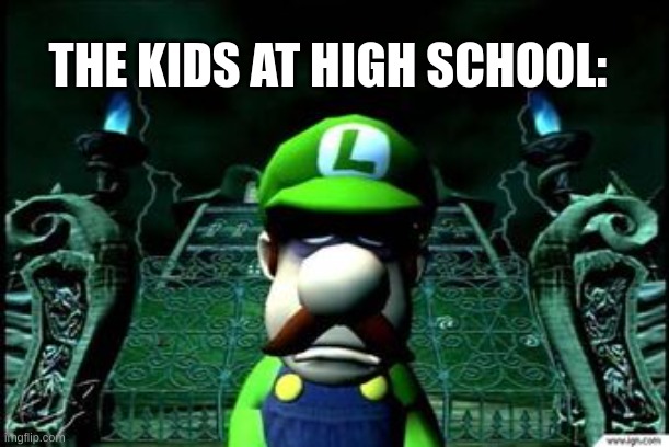 Depressed Luigi | THE KIDS AT HIGH SCHOOL: | image tagged in depressed luigi | made w/ Imgflip meme maker