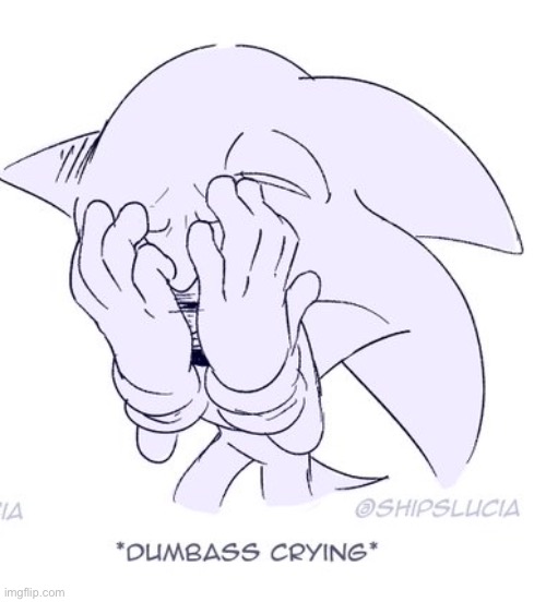 sonic dumbass crying | image tagged in sonic dumbass crying | made w/ Imgflip meme maker