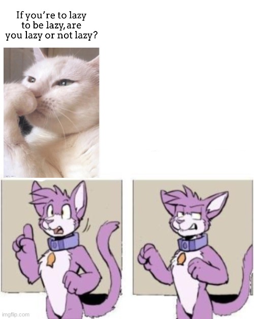? | image tagged in furry hold on,hold on,hmmm,indeed | made w/ Imgflip meme maker