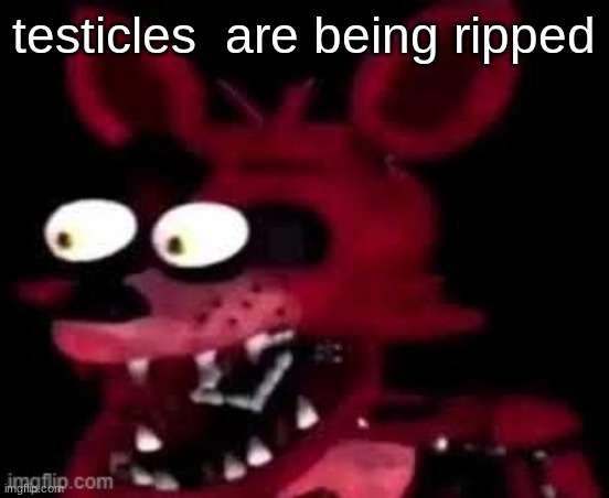 Foxy being surprised asf | testicles  are being ripped | image tagged in foxy being surprised asf | made w/ Imgflip meme maker