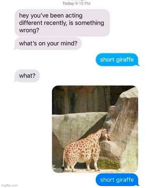 ? | image tagged in funny | made w/ Imgflip meme maker