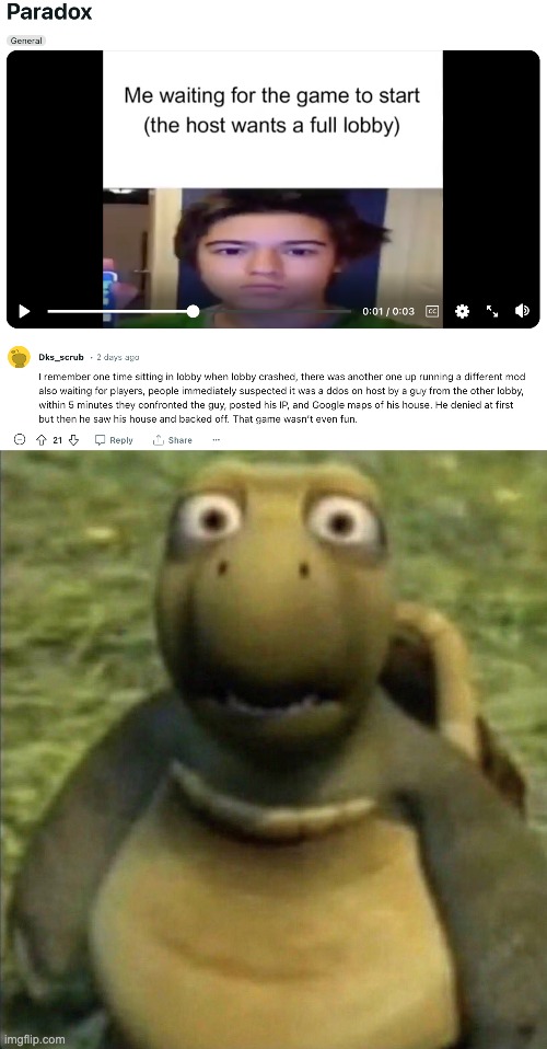 Average internet lobby | image tagged in shocked turtle | made w/ Imgflip meme maker