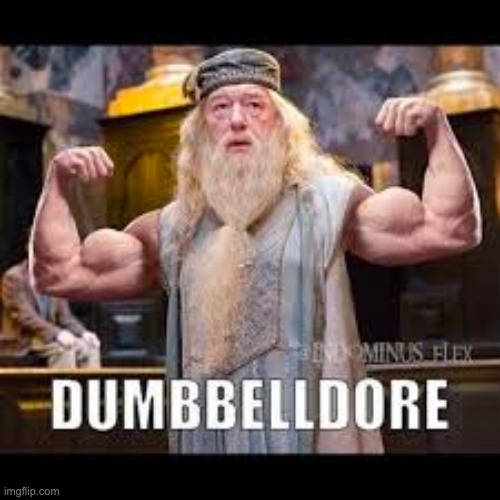 image tagged in harry potter,funny | made w/ Imgflip meme maker