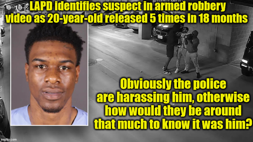 LAPD identifies suspect in armed robbery video as 20-year-old released 5 times in 18 months; Obviously the police are harassing him, otherwise how would they be around that much to know it was him? | image tagged in liberal logic | made w/ Imgflip meme maker