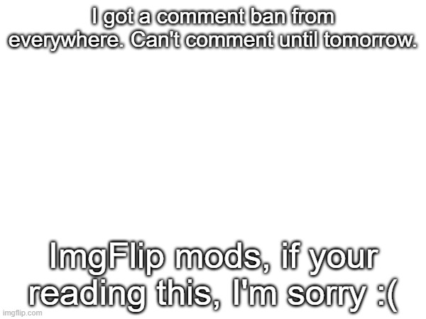 I'm sorry | I got a comment ban from everywhere. Can't comment until tomorrow. ImgFlip mods, if your reading this, I'm sorry :( | image tagged in comment ban | made w/ Imgflip meme maker