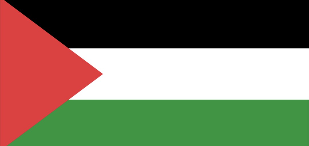 Palestine flag Blank Meme Template