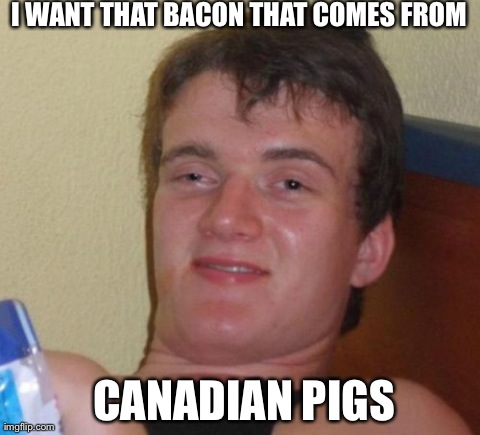 10 Guy | I WANT THAT BACON THAT COMES FROM CANADIAN PIGS | image tagged in memes,10 guy | made w/ Imgflip meme maker