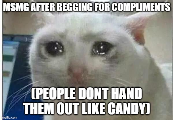 crying cat | MSMG AFTER BEGGING FOR COMPLIMENTS; (PEOPLE DONT HAND THEM OUT LIKE CANDY) | image tagged in crying cat | made w/ Imgflip meme maker