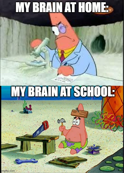 My Brain in a Nutshell | MY BRAIN AT HOME:; MY BRAIN AT SCHOOL: | image tagged in patrick smart dumb | made w/ Imgflip meme maker