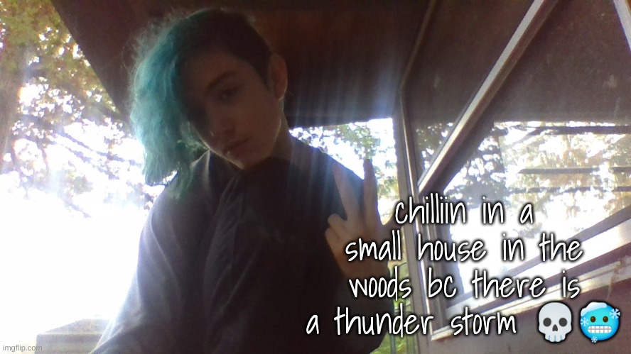 cool | chilliin in a small house in the woods bc there is a thunder storm 💀🥶 | made w/ Imgflip meme maker