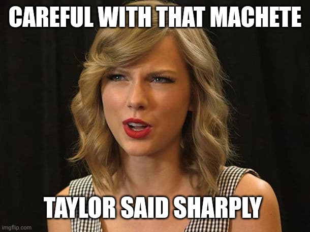 Taylor said sharply | CAREFUL WITH THAT MACHETE; TAYLOR SAID SHARPLY | image tagged in taylor swiftie | made w/ Imgflip meme maker