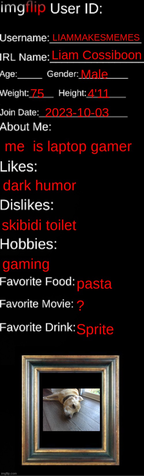 LOL | LIAMMAKESMEMES; Liam Cossiboon; Male; 75; 4'11; 2023-10-03; me  is laptop gamer; dark humor; skibidi toilet; gaming; pasta; ? Sprite | image tagged in imgflip id card | made w/ Imgflip meme maker