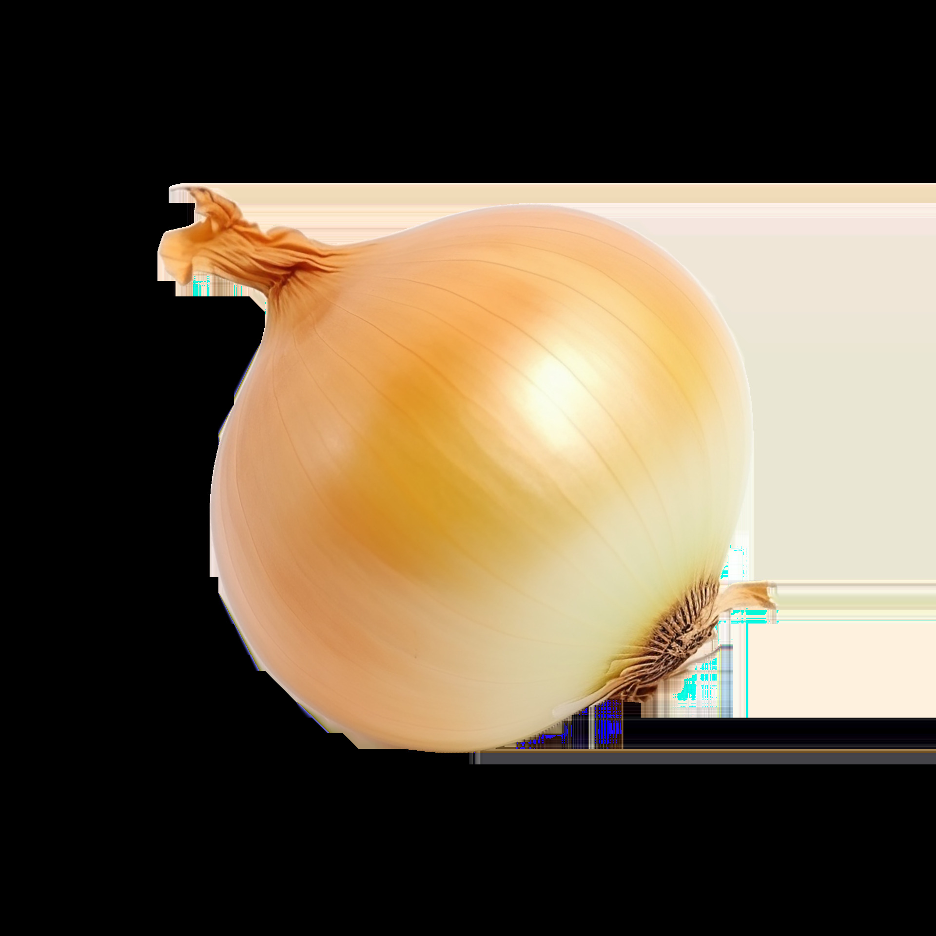 High Quality Onion Blank Meme Template