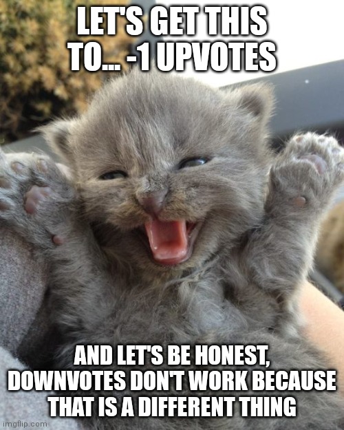 Let's hack this meme and get it to -1 upvotes baby! | LET'S GET THIS TO... -1 UPVOTES; AND LET'S BE HONEST, DOWNVOTES DON'T WORK BECAUSE THAT IS A DIFFERENT THING | image tagged in yay kitty,memes,-1,upvotes | made w/ Imgflip meme maker
