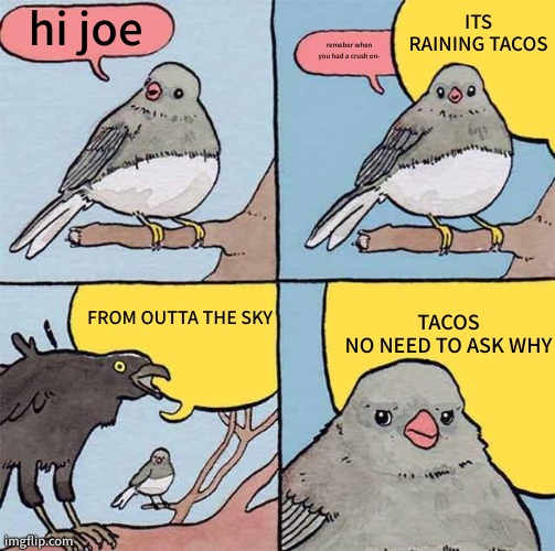 Annoying Crow | hi joe remeber when you had a crush on- ITS RAINING TACOS FROM OUTTA THE SKY TACOS
NO NEED TO ASK WHY | image tagged in annoying crow | made w/ Imgflip meme maker