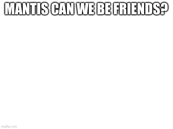 HI | MANTIS CAN WE BE FRIENDS? | image tagged in funny memes | made w/ Imgflip meme maker