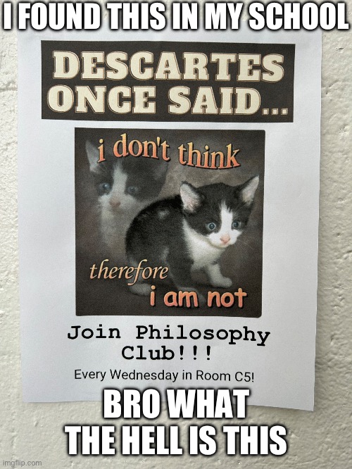 Bro what the hell is this | I FOUND THIS IN MY SCHOOL; BRO WHAT THE HELL IS THIS | image tagged in cats,school,cringe | made w/ Imgflip meme maker