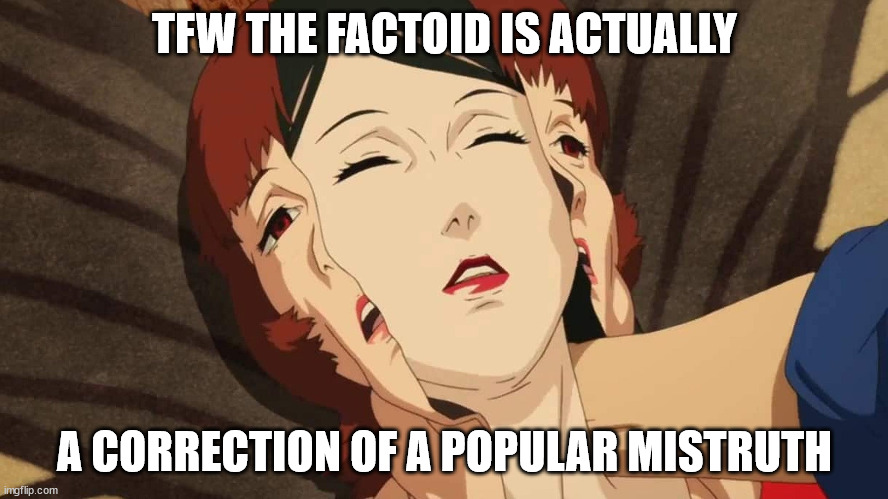 Factoid | TFW THE FACTOID IS ACTUALLY; A CORRECTION OF A POPULAR MISTRUTH | image tagged in paprika,funny memes,anime | made w/ Imgflip meme maker