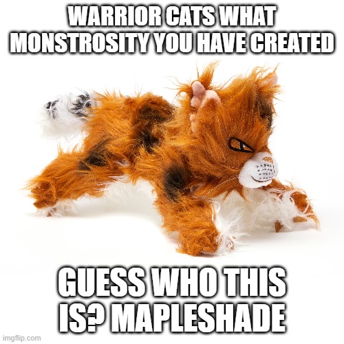 Why warriors why? | WARRIOR CATS WHAT MONSTROSITY YOU HAVE CREATED; GUESS WHO THIS IS? MAPLESHADE | made w/ Imgflip meme maker