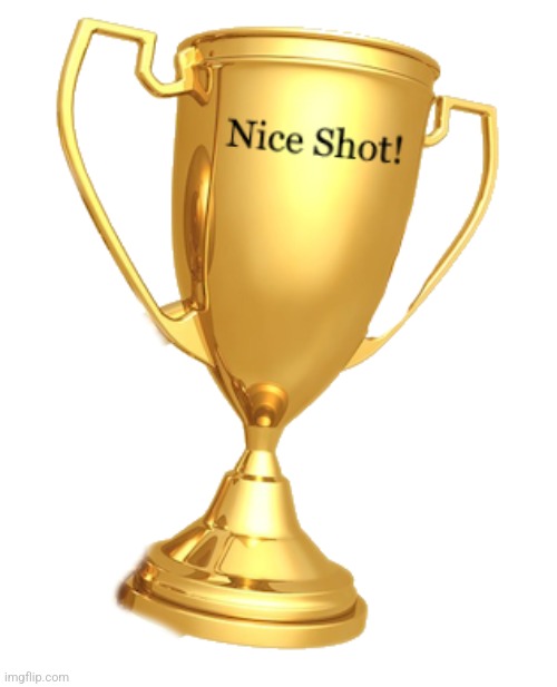 image tagged in nice shot | made w/ Imgflip meme maker